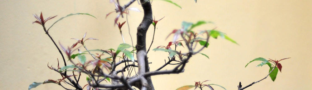 Treasuring Creativity